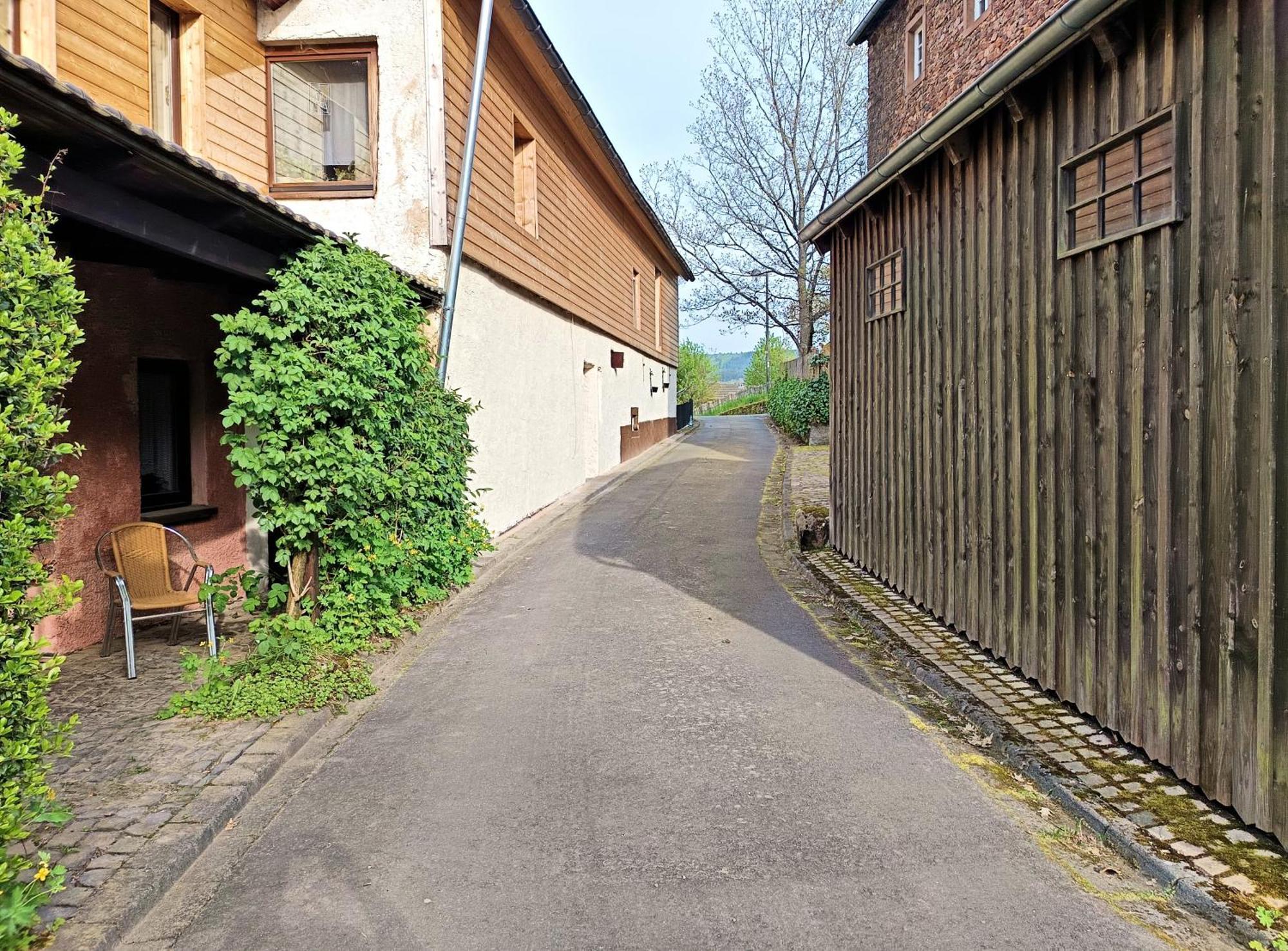 Apartmán Haus Am Burgring Mürlenbach Exteriér fotografie
