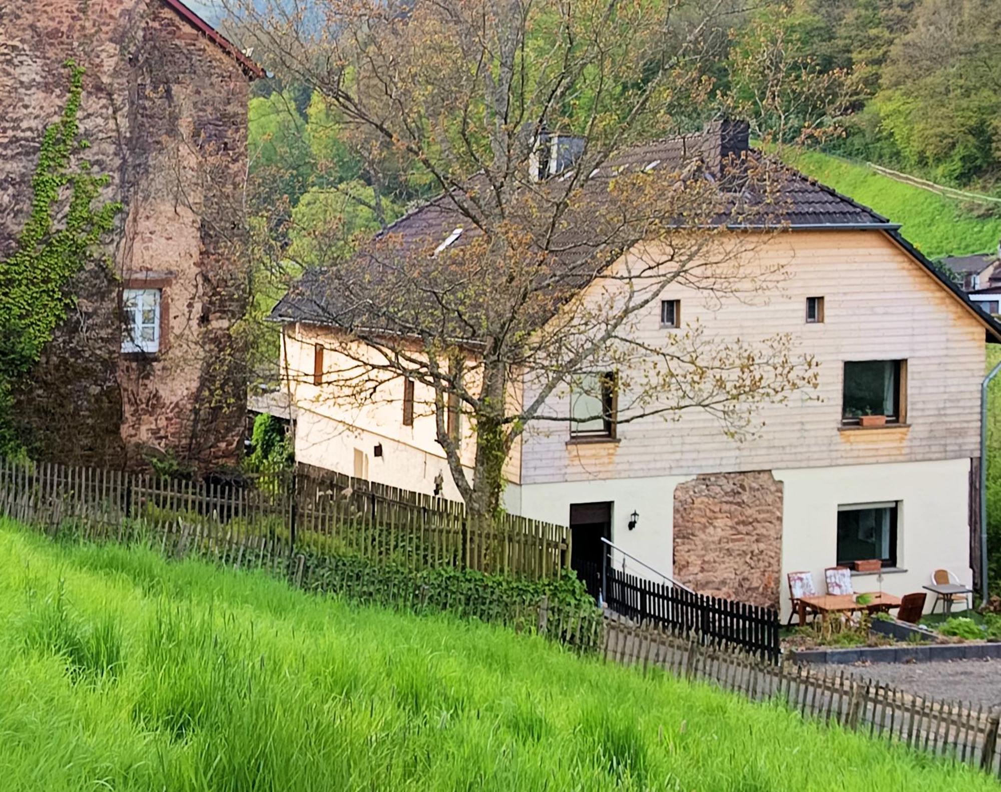Apartmán Haus Am Burgring Mürlenbach Exteriér fotografie
